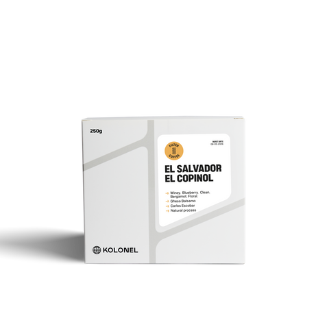 EL SALVADOR - EL COPINOL - GESHA