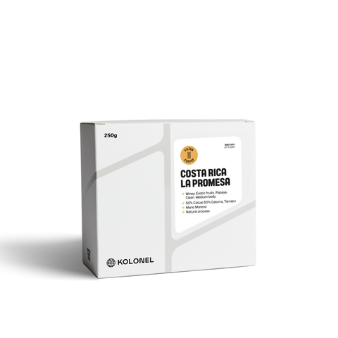 COSTA RICA LA PROMESA