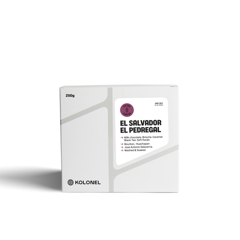 EL SALVADOR - EL PEDREGAL